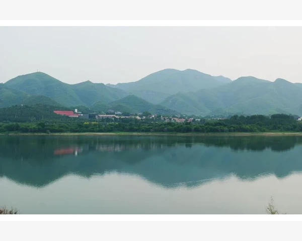 吃哪些橙子对健脾胃有好处？